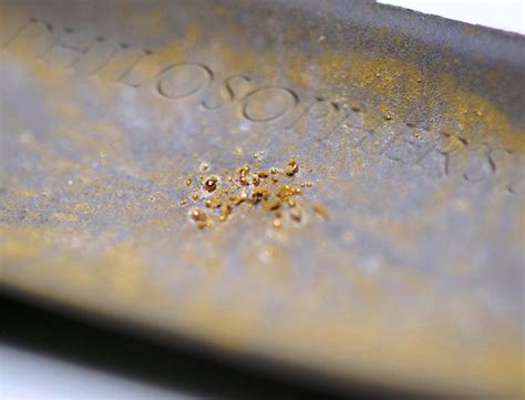 Its possible theres gold in your poop, according to a group of scientists with the U. . Gold scat